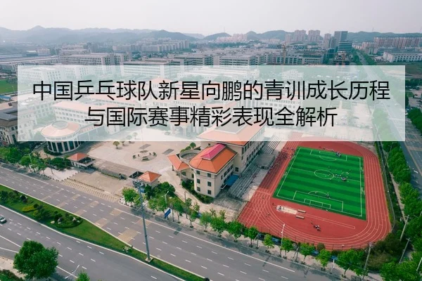 中国乒乓球队新星向鹏的青训成长历程与国际赛事精彩表现全解析 | LD SPORTS